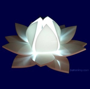 lighted lotus