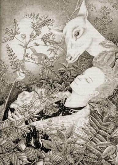 The White Deer by Adrienne Segur