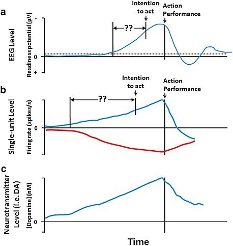 Neuroscience of Free Will