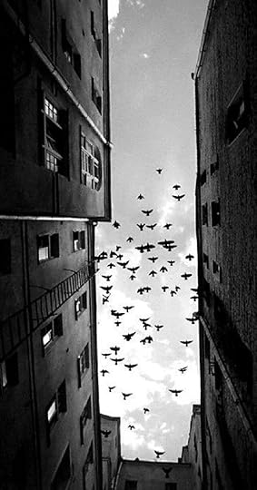 Screenshot-20200310-020705