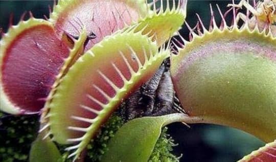 Screenshot-20200310-025927