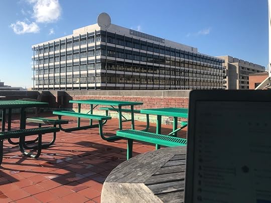 working on the roof