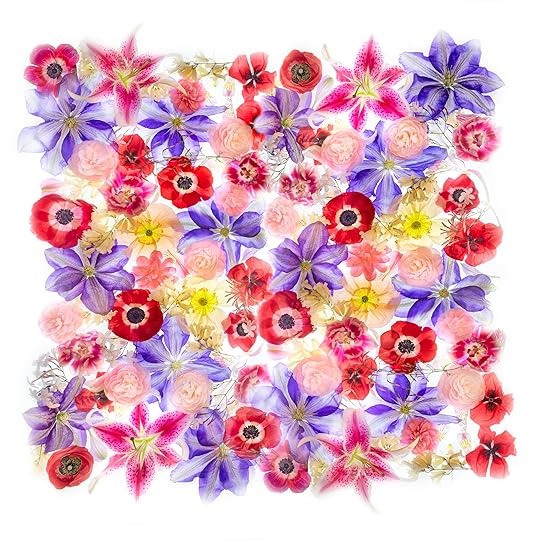Flowers Squared © Harold Davis
