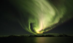 Aurora seen from a Hurtigruten cruise in December 2018