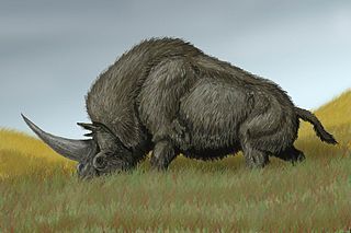 Illustration of a Siberian unicorn from the age of megafauna, and bigger than a double-decker bus