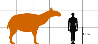 Illustration of the extinct Macrauchenia, prehistoric oddballs about the size of a modern horse