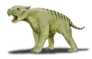 Illustration of a prehistoric marsupial lion from Australia, with teeth that could bite through bone with ease
