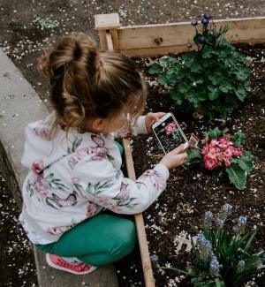 quarantine family activities, gardening<br />