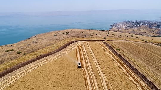 Wheat harvest combine on Mount Arbel