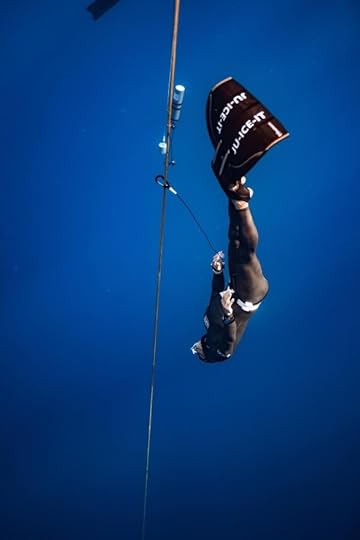 constant weight - Aida world championships