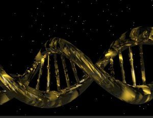 dna activation