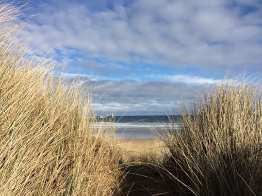 Social distancing in teh dunes at Fraserburgh