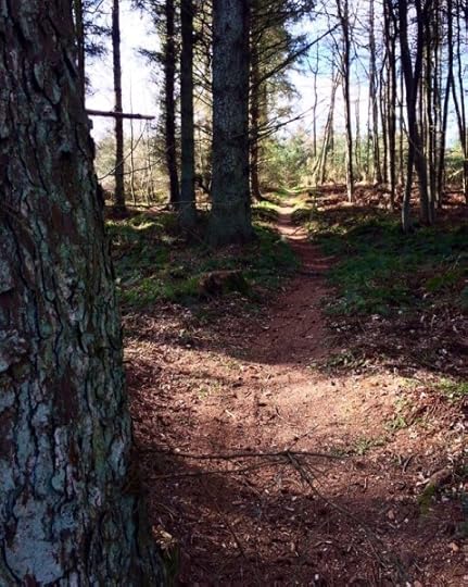 social distancing in the woods