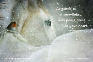 may peace come into your heart