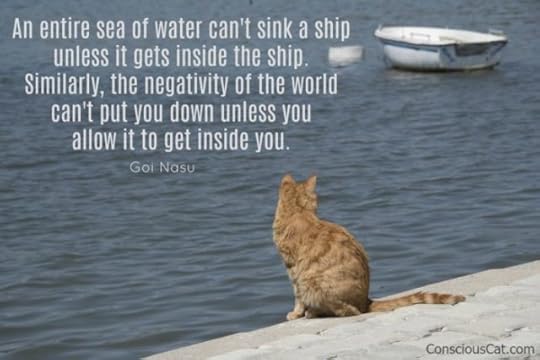 cat-boat