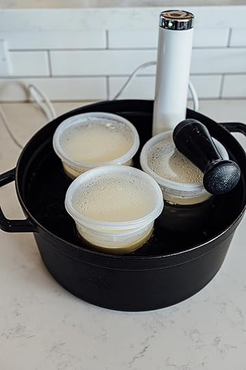 homemade yogurt | Nik S