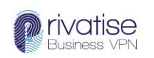Privatise VPN - Managed VPN for MSPs