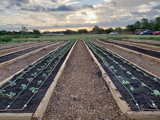 Friends of Shiloh Garden-Shiloh Field