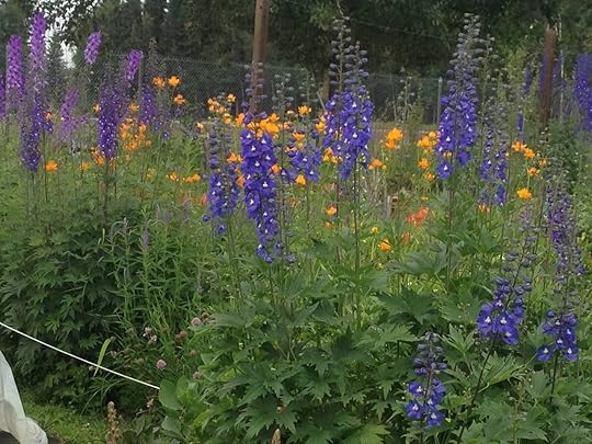 Fairbanks Community Garden