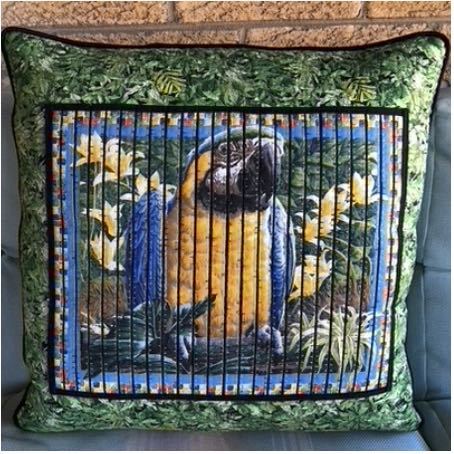 2020 NZP Pillow Sewing Challenge Winners Announced