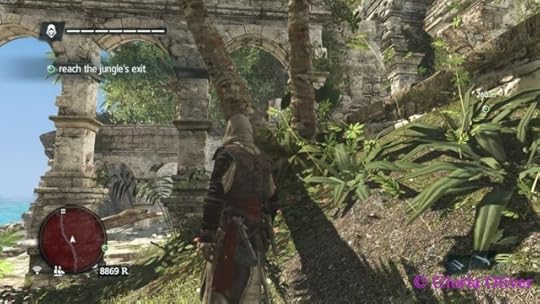 Assassin's Creed - Black Flag - ruins