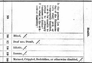 Census description, April 1, 2020 US census, historical research, genealogy, family member listings, old records, creative family history