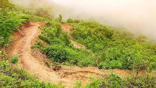 hiking trail through low hills with green grass