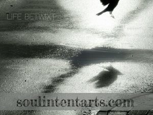 Life Betwixt - Deathwalking, Intentional Insights, Soul Intent Arts, Original Photo by Sergei Wolle