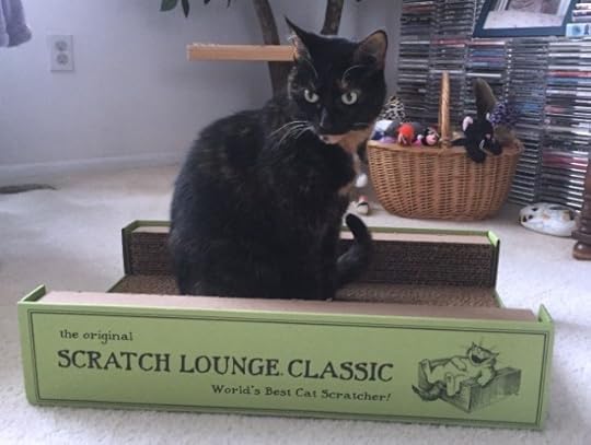 scratch-lounge-review
