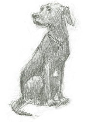 Tilly by David Wyatt