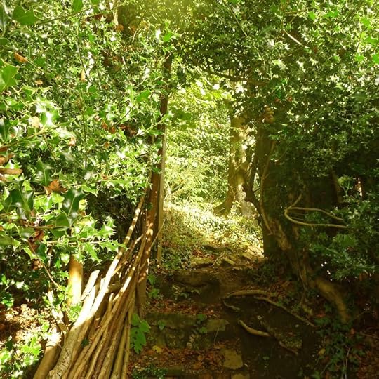 Stairway to the stream