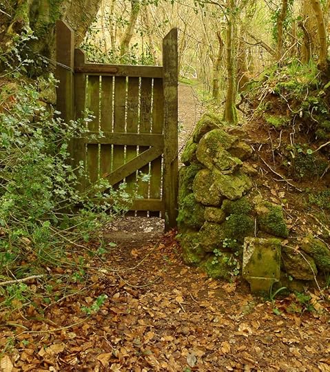 Woodland gate