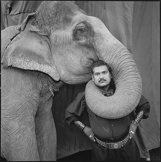 An elephant wrapping its trunk around a man's neck. 