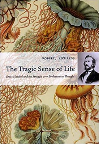 The Otherworldly Beauty of Jellyfish: How Ernst Haeckel Turned Personal Tragedy into Transcendent Art in the World’s First Encyclopedia of Medusae