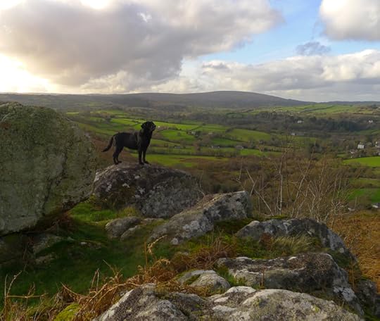 Tilly on Nattadon Hill