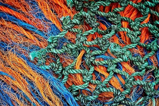 Ocean's Treasure by FotoFloridian