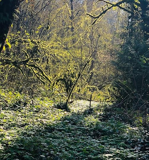 Tryon Creek State Park