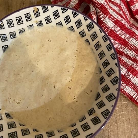 Sourdough Starter