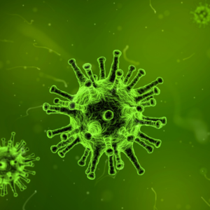How Not to Be a Leader – Virus Edition