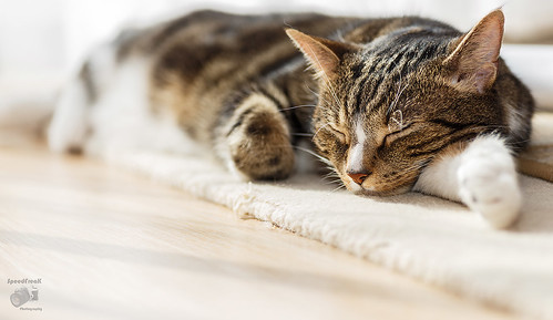 Sleep