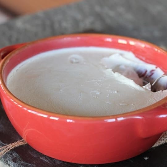 Home Made Sour Cream