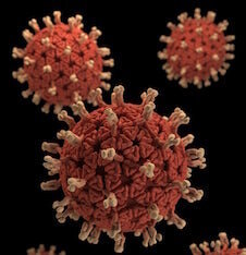 germs.jpeg