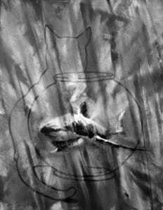 Duncan Stewart's image