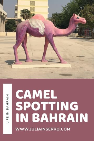 camel spotting in bahrain.png