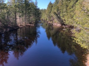 positivity offensive