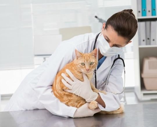 cat-covid-19-science