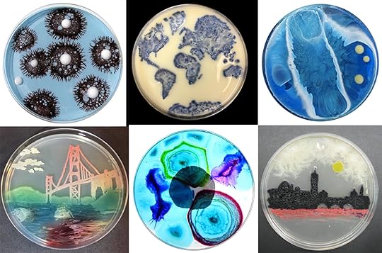 Bacteria materoal ecology design architecture 3d printing pandemic art