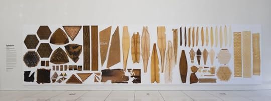 Neri Oxman Ecology of Design bacteria in the built environment architecture world ecosystem