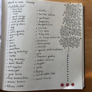 gratitude list
