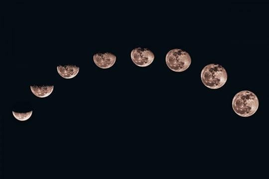 Image by Sanni Sahil via Unsplash